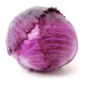 Grozer Red Cabbage
