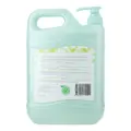 Biograde Dishwashing Liquid - Fresh Lime