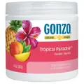 Gonzo Odor Absorbing Gel - Tropical Paradise Fragrance