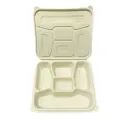 Biogreen Bd-Bento Lunch Box With 5 Compartment