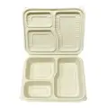 Biogreen Bd-Bento Lunch Box With 3 Compartment
