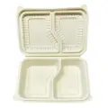 Biogreen Bd-Bento Lunch Box With 2 Compartment