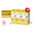 Pokka Packet Drink - Chrysanthemum With White Tea
