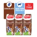 F&N Magnolia Uht Packet Milk - Chocolate