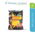 Organic Green Living (Ogl) Black Lava