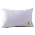 Sweet Home Bamboo Charcoal Anti-Bacterial Pillow