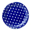 Disney Procos Blue Polka Dots Paper Plate
