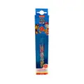 Paw Patrol Flashing Toothbrush Age 3 And Above