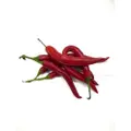 Freshstory Red Chilli