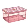 Puritywhite Pink Folding Plastic Storage Box