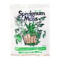 Horti Sphagnum Moss