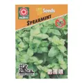 Horti Spear Mint Seeds