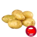China Holland Potato