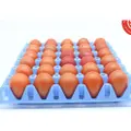 Lck Farm Local Hard Boiled Red Eggs (Family Pack)