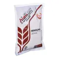 Prima Flour Packet Flour - Semolina