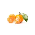 Slh Small Tangerine