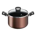 Tefal Day By Day Stewpot With Lid - 22Cm