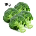 Orgo Fresh Broccoli