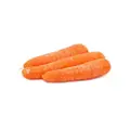 Slh Carrot