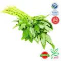 Yili Farm Premium Sharp Spinach