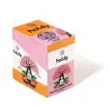 Haldy Sugarfree Turmeric Mints 6 Pack | Berries