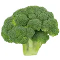 Grozer Broccoli