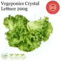 Vegeponics Lettuce 200G