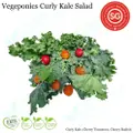 Vegeponics Curly Kale Salad
