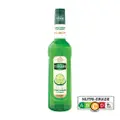 Mathieu Teisseire Cucumber Syrup