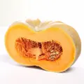 Grozer Pumpkin