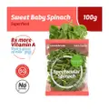 Sustenir Spectacular Spinach