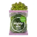Sustenir Mighty Mix - Mixed Salad