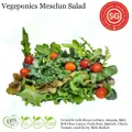 Vegeponics Mesclun Salad