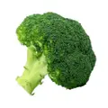 Orgo Fresh Green Magic Broccoli