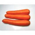 Smart Knife Fresh Carrots (3 Pieces)