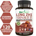 Biofinest Lingzhi Red Reishi Supplement Energy Focus Immune