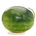 Yayapapaya Watermelon