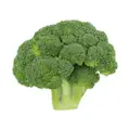 Orgo Fresh Broccoli