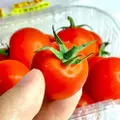 Happy Fruits Air-Flown Japan Mini Tomatoes