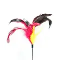 Amy N Carol Cat Teaser - Chicken Feather (Red)