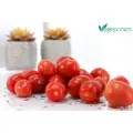 Vegeponics Cherry Tomato
