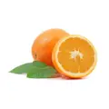 Slh South Africa Orange