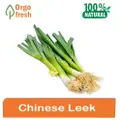 Orgo Fresh Chinese Leek