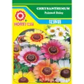 Horti Chrysanthemum Seeds
