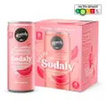 Remedy Drinks Organic Sodaly Guava