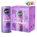 Remedy Drinks Organic Sodaly Passionfruit