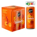 Remedy Drinks Organic Sodaly Orange