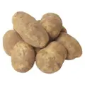 Freshstory Russet Potato