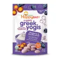Happy Family Organic Greek Yogis - Blueberry Purple Carrot