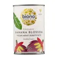 Biona Organic Banana Blossom In Salted Water